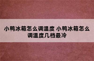 小鸭冰箱怎么调温度 小鸭冰箱怎么调温度几档最冷